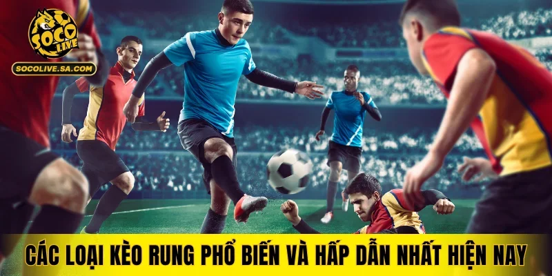 Các loại kèo rung phổ biến và hấp dẫn nhất hiện nay