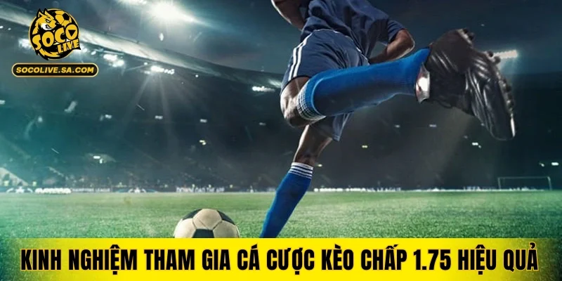 Kinh nghiệm tham gia cá cược kèo chấp 1.75 hiệu quả