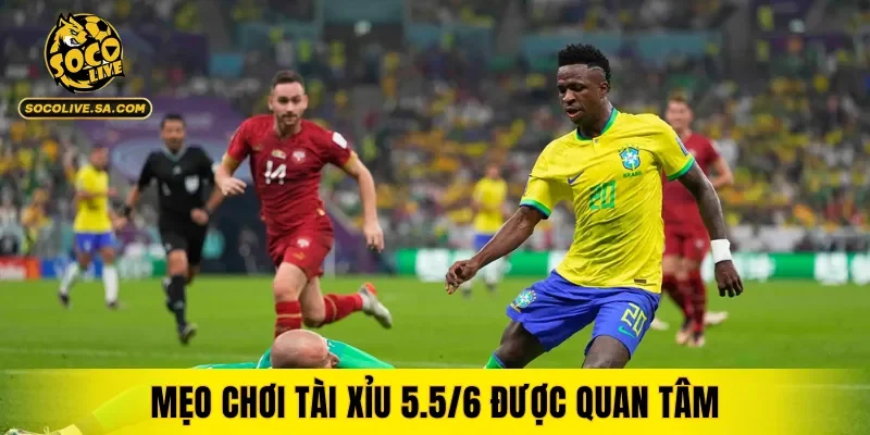 Mẹo chơi tài xỉu 5.5/6 là gì rất được quan tâm